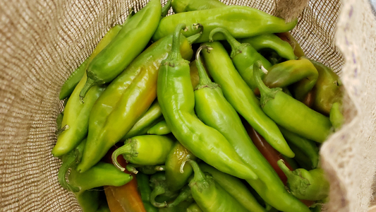 Demystifying Measurements: How Many Pounds in a Bushel of Green Chile?